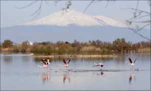 R.N. Saline di Priolo