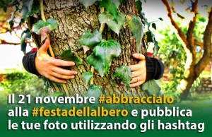 abbraccia-un-albero