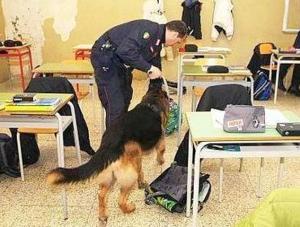 (Foto d'archivio)