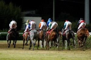 racing at Mediterraneo racecourse Siracusa, 12th jan. 2008 ph. Stefano Grasso