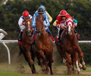 racing  at Mediterraneo racecourse Siracusa, 12th jan. 2008 ph. Stefano Grasso