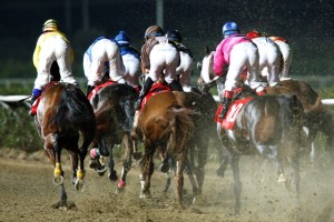 racing at Mediterraneo racecourse Siracusa, 12th jan. 2008 ph. Stefano Grasso