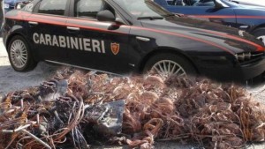 carabinieri_rame