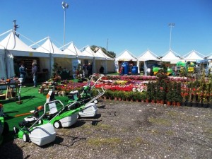 fiera3a