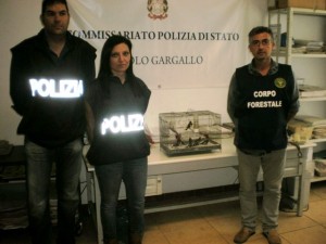 polizia_uccelli