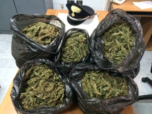 La droga sequestrata