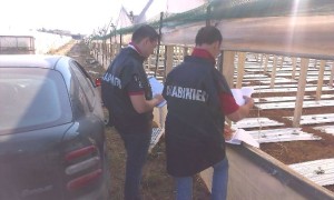 carabinieri_lavoro
