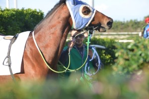 ????????????????????????????????????