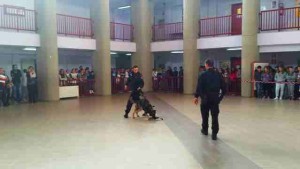 carabinieri_cani_scuola