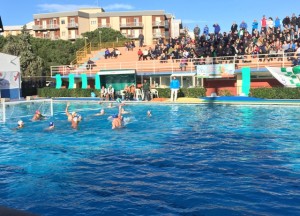 Ortigia - Florentia