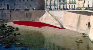 In rosso lo spazio che occuperebbero i privati