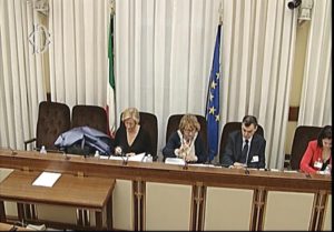 L'audizione del ministro Pinotti