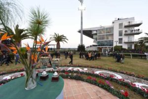 ippodromo8