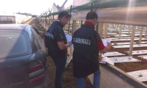 carabinieri lavoro