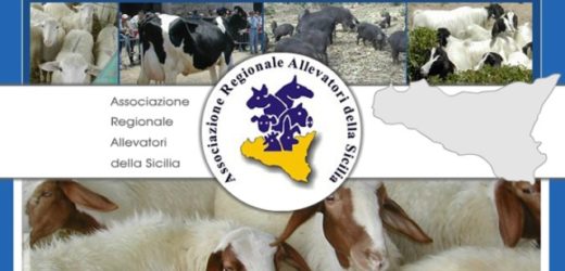 No ai licenziamenti all’Associazione regionale allevatori, per Vinciullo penalizzerebbe tutta la zootecnia siciliana