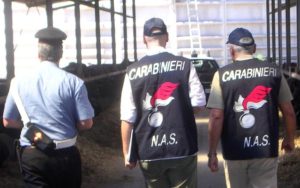 nas-carabinieri2