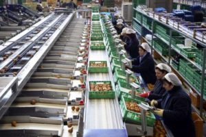 trasformazione-prodotti-agricoli