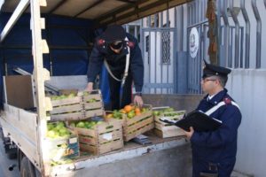 foto-furto-di-limoni