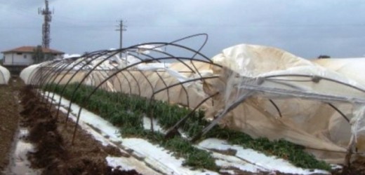 Stato di calamità in provincia di Siracusa, la Regione prende ancora tempo e Vinciullo annuncia l’occupazione dell’Ars