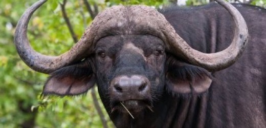 Paradossi. La “bufala” della crisi che c’è