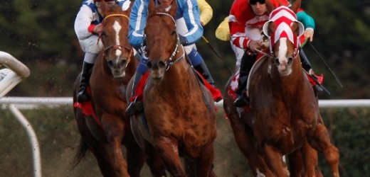 Appuntamento con sei corse sabato all’Ippodromo del Mediterraneo di Siracusa