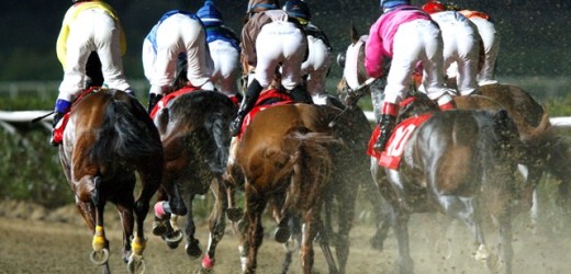 Si corre sui 1200 metri domani all’Ippodromo del Mediterraneo il Premio Pindaro