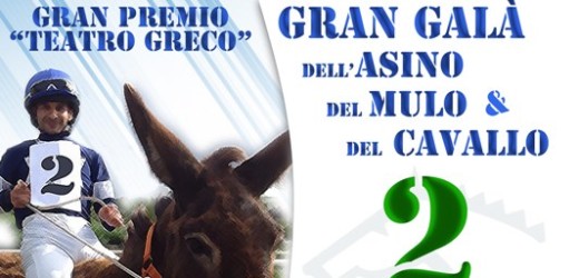 Il 2 giugno appuntamento all’Ippodromo con il “Gran galà dell’asino, del mulo e del cavallo”