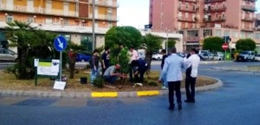 Brutta “gaffe” ieri dell’assessore Gasbarro, l’ass. “I 100 passi” avrebbe chiesto l’autorizzazione per piantare l’alberello