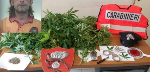 Rosolini, arrestato 41enne trovato con 30 grammi di hashish, semi di marijuana e 17 piante di canapa  indiana
