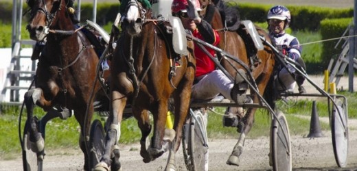 Sabato trotto e galoppo all’Ippodromo del Mediterraneo con il Premio internazionale d’Italia e il Palladio