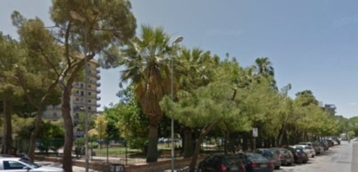 Pini di Piazza Aldo Moro, Salvo Sorbello chiede di salvarli e sollecita il rispetto del regolamento sul verde pubblico