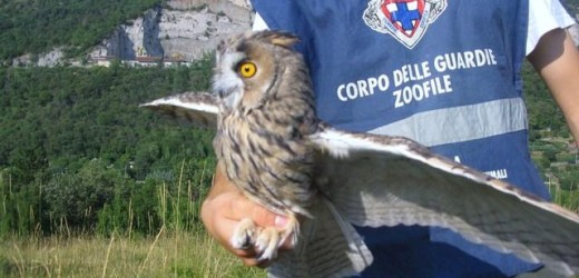 Si conclude sabato a Canicattini Bagni il corso di formazione dell’Enpa per Guardie Zoofile