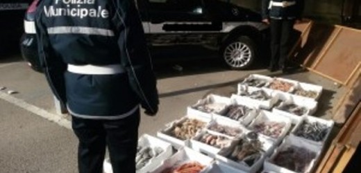 Contrasto all’abusivismo del commercio ambulante, aggredito oggi un vigile urbano al mercato di piazza Sgarlata a Siracusa