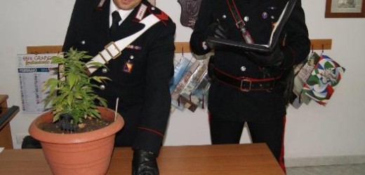 Pachino, i Carabinieri arrestano un 50enne trovato con 140 gr di hashish, bilancino ed una piantina di canapa indiana