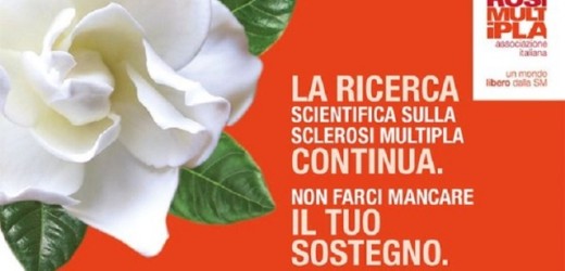 Sabato, domenica e martedì, Festa della Donna, torna nelle piazze di Siracusa e della provincia la Gardenia dell’Aism