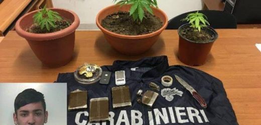 Avola, giovane 23enne preso con quasi 400 grammi di hashih e 3 piantine di canapa indiana sul balcone