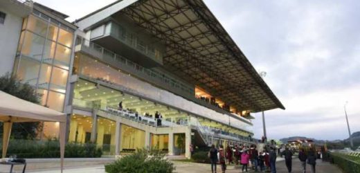 Torna la Tris domenica all’Ippodromo del Mediterraneo con il Premio Botticelli e 14 al via