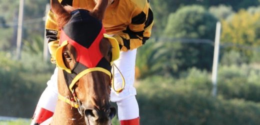 Ippica, sabato all’Ippodromo del Mediterraneo si ricorda con un Memorial l’allenatore Raffaele Festinesi