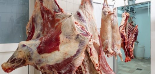 Palazzolo, aapre martedì il macello in attesa che il Libero Consorzio sblocchi l’iter per la gestione del frigomacello