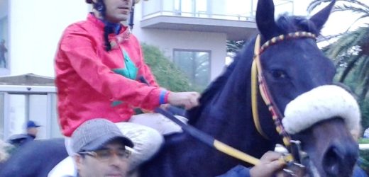 Ippica. A Pure Funk il Premio Bonturo, mentre martedì si torna in pista con due Handicap principali e “Una città per i bambini”