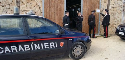 Sequestrata un’azienda agricola a Belvedere che da anni utilizzava traversine ferroviarie inquinate ritenute “pericolose”