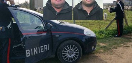 Due calabresi in trasferta arrestati dai Carabinieri mentre rubavano bovini da un’azienda di Testa dell’Acqua