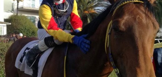 Jackville Go si aggiudica ieri all’Ippodromo del Mediterraneo la 2° Tris nazionale di galoppo