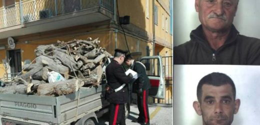 Arrestati dai Carabinieri due siracusani per aver rubato un carico di legna, tagliando gli  alberi, da un fondo agricolo