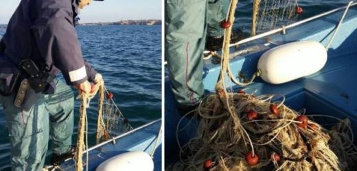La Squadra Nautica della Polizia individua e sequestra 2000 metri di rete posta all’imboccatura del porto di Siracusa