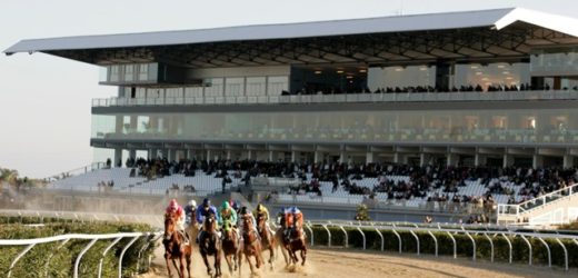 Sabato ancora galoppo all’Ippodromo del Mediterraneo, sei le corse in programma